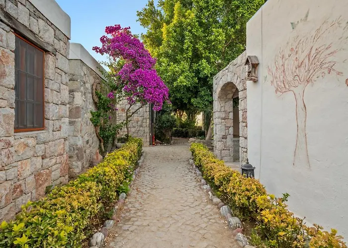 Ξενοδοχείο Kaya Datca