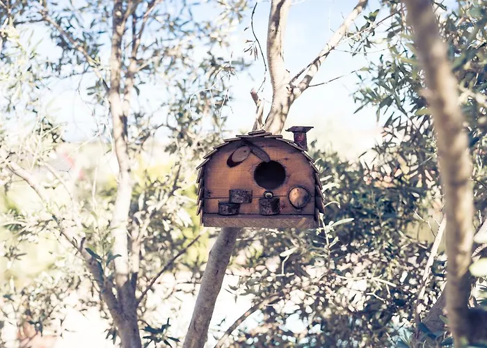 Kaya Ξενοδοχείο