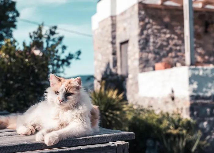 Ξενοδοχείο Kaya 2*